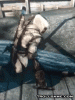 full_fc5788d2-2605-400f-acf6-e1ef82018512.gif