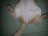 20160915_190041.jpg