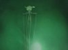 squid-hp.jpg