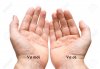 4005615-two-hands-with-palms-up.jpg