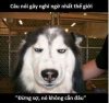 FB_IMG_1457933584678.jpg