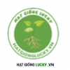 hat-giong-lucky.png