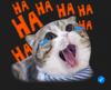 upload_2019-3-4_11-53-13.png