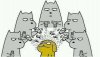 upload_2019-3-26_12-24-20.jpeg