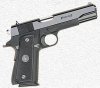 Paraord_Basic 45ACP.jpg