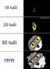 upload_2019-6-29_23-48-43.png