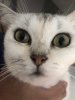 upload_2019-7-22_16-35-24.jpeg