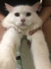 upload_2019-7-22_16-35-38.jpeg