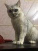 upload_2019-7-22_16-35-53.jpeg