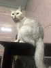 upload_2019-7-22_16-36-6.jpeg