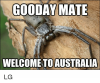 ooday-mate-welcome-to-australia-meme-com-quick-lg-20945497.png