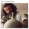 this-is-a-hairy-potter-JFMU3.jpg