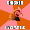 chicken-lives-matter.jpg