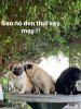 FB_IMG_1595919407003.jpg