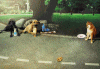 5CE6F265-62AC-4DCD-B8ED-0023F3F92C67.gif