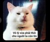 7F854A69-1651-467D-82DB-2E38F77EAC3C.jpeg