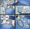 FB_IMG_1617639422208.jpg