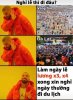 766E3967-F4CC-4CF7-A305-E224D96E5B88.jpeg
