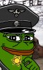 nazi pepe.jpg