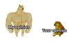 upload_2021-6-22_10-6-25.png