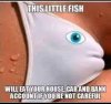 Be-carefull-from-fish.jpg