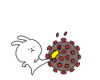 310260755.png