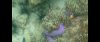 Screenshot_20220617-212403.jpg
