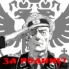За Родину!.png
