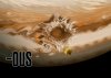 A049302A-0D60-4FBB-815B-065D7692E211.jpeg