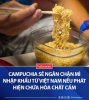 FB_IMG_1660815575592.jpg