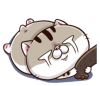 M2r400z.png
