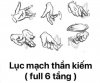 FB_IMG_1665772514356.jpg