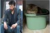 SadKeanu_Tiger.JPG