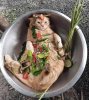 cat-recipes3.jpg