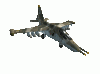 su39_bf2.gif