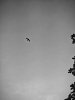 IMG_20250422_174414.jpg