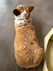 IMG_9812-min.jpeg