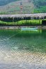 IMG_0090.jpeg