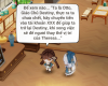 upload_2025-4-27_12-58-36.png