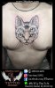 hình xăm ảo giác - illusion tattoo.jpg