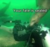 FB_IMG_1745824565948.jpg