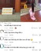 IMG_0133.jpeg