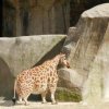 IMG_6509.jpeg
