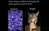 upload_2025-4-30_13-31-59.png