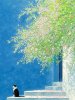 IMG_6564.jpeg