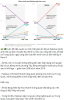 upload_2025-5-7_14-13-52.png