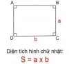 upload_2025-5-7_16-58-34.jpeg