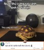 IMG_0138.jpeg
