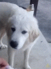 upload_2025-5-7_20-36-39.gif