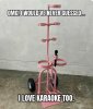 FB_IMG_1747066271946.jpg